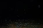 Picture_021